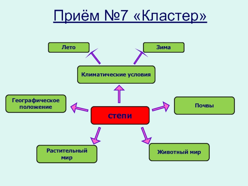 Кластер 7. Кластер на тему степь. Кластер по географии. Метод кластеров в географии. Кластер на уроке географии.