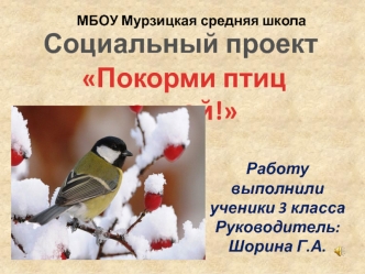 Социальный проект Покорми птиц зимой