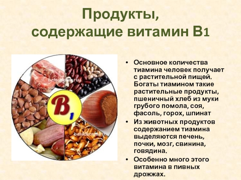 Чем помогает витамин б. Тиамин витамин в1 источники продукты. Витамин в1 тиамин продукты содержащие. Где содержится тиамин витамин в1. Витамин в1 тиамин содержится в.