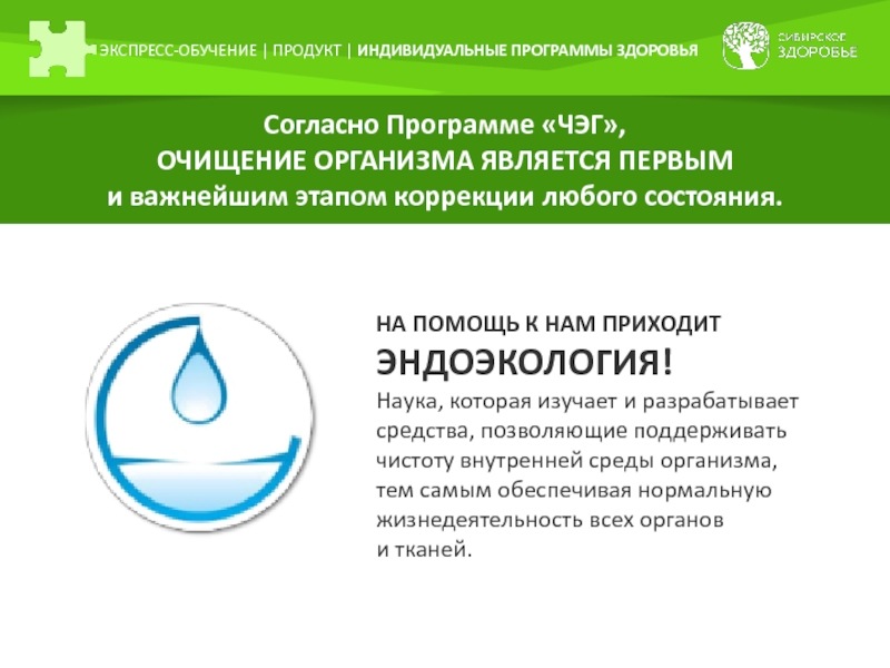 Индивидуальный продукт. Чистота энергия Гармония Сибирское здоровье программы. Чистота энергия Гармония. Индивидуальная программа здоровья. Чистота энергия Гармония Сибирское.