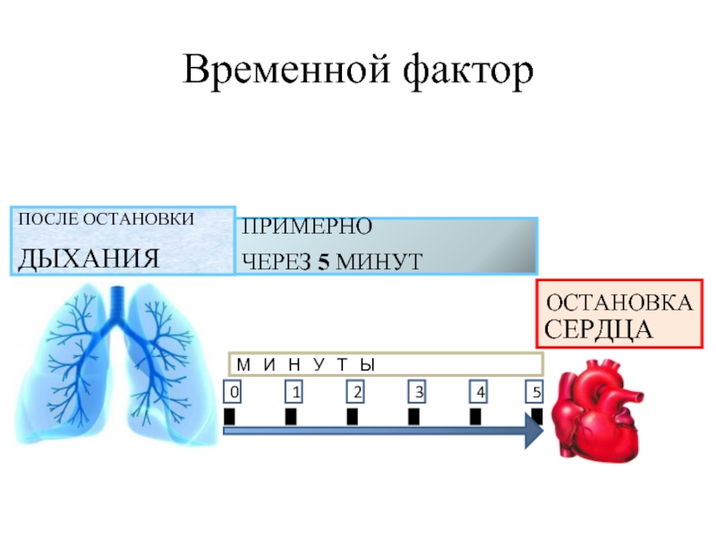 Временной диапазон