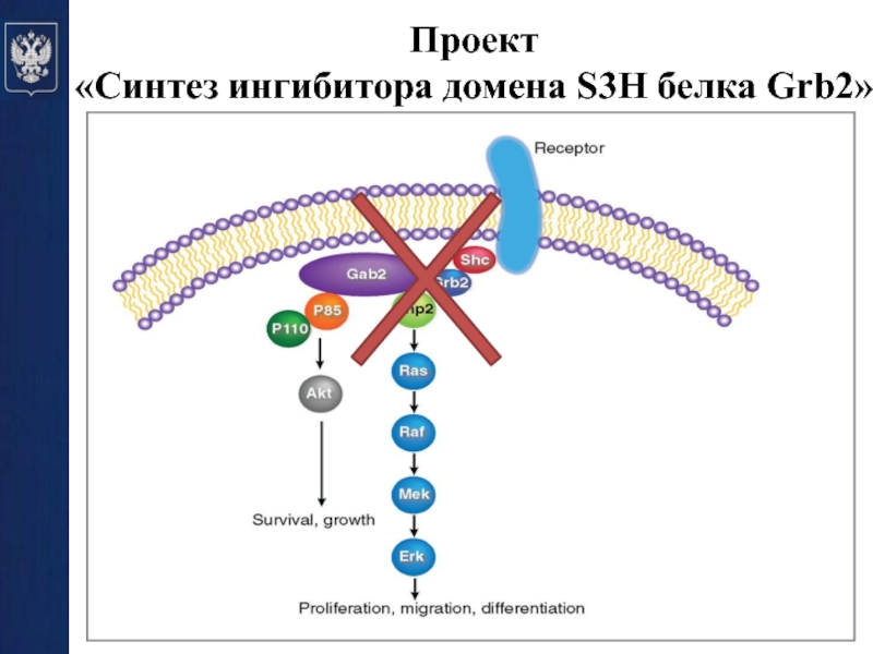 Синтез в проекте