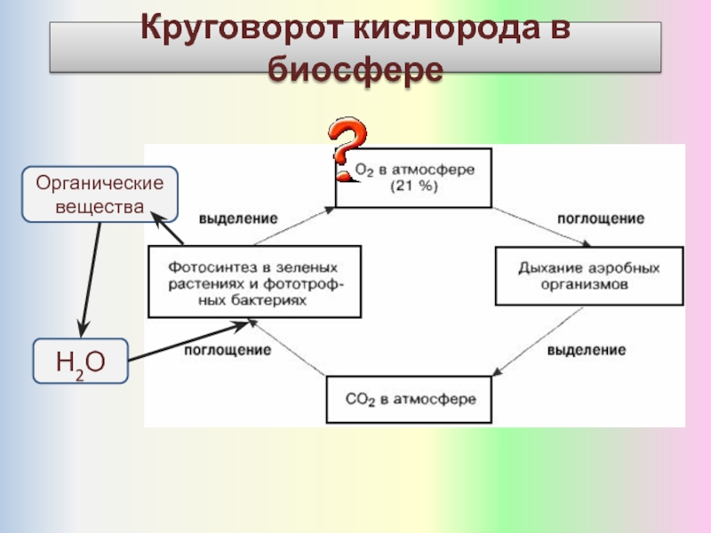 Круговорот кислорода в атмосфере схема