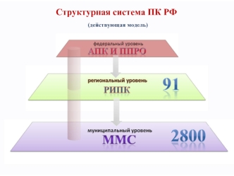 Структурная система ПК РФ