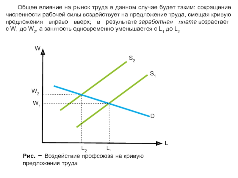 Общего воздействия. Кривая предложения рабочей силы. Предложение рабочей силы на рынке труда. Сокращение предложения труда. Влияние спроса на предложение труда.