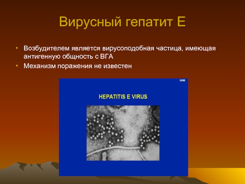 Вирусные гепатиты e. Гепатит е структура. Гепатит е возбудитель. Гепатит е антигенная структура.