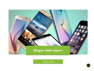 Ringoo SMM report