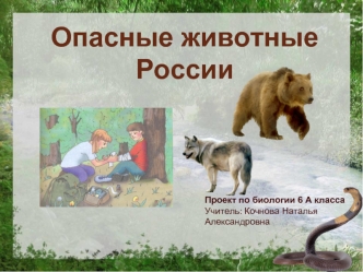 Опасные животные России