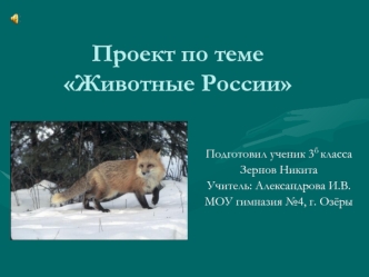 Проект по теме Животные России