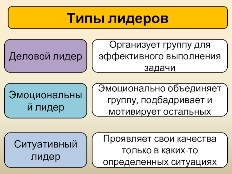 Лидер виды лидерства. Типы лидеров в группе. Типы лидеров эмоциональный Лидер. Типы лидерства деловое эмоциональное ситуативное. Ситуативный Лидер.