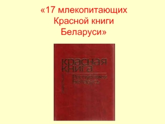 17 млекопитающих Красной книги Беларуси