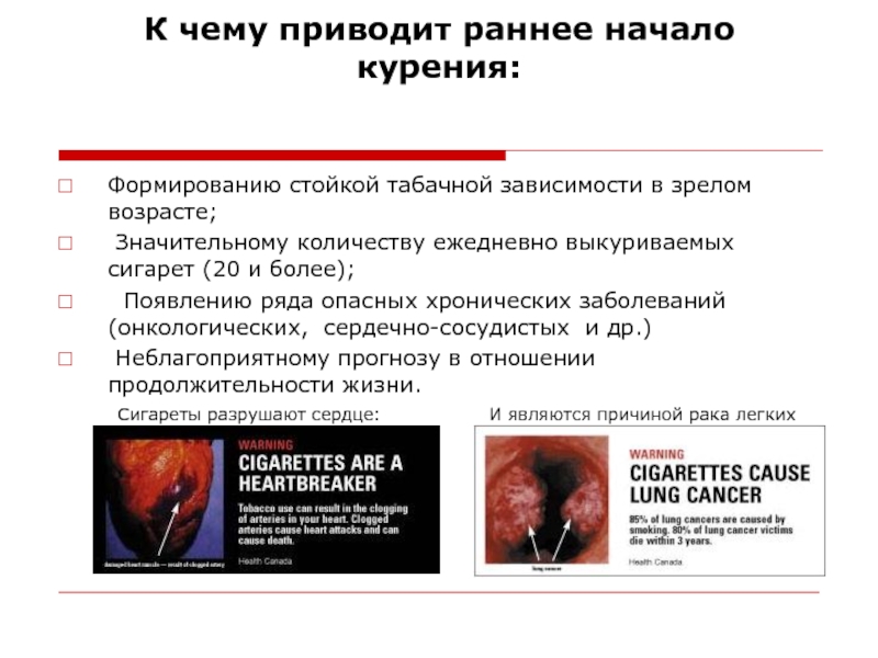 К чему приводит раннее начало курения: Формированию стойкой табачной зависимости в зрелом