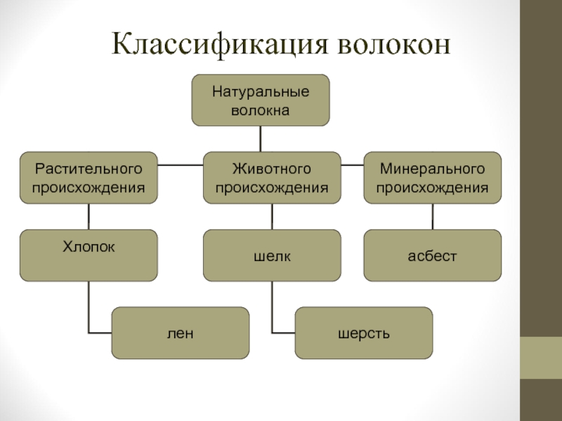 Классификация волокон. Классификация волокон по происхождению. Классификация волокон растительного происхождения. Классификация текст волокон.