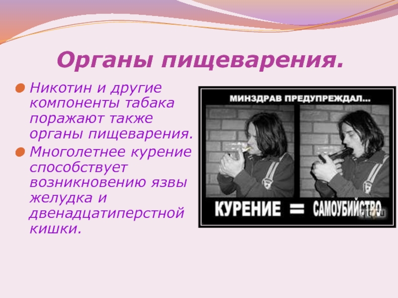 Панель никотин. Влияние никотина на органы пищеварения. Влияние табака на пищеварительную систему. Никотин. Влияние курения на пищеварение.