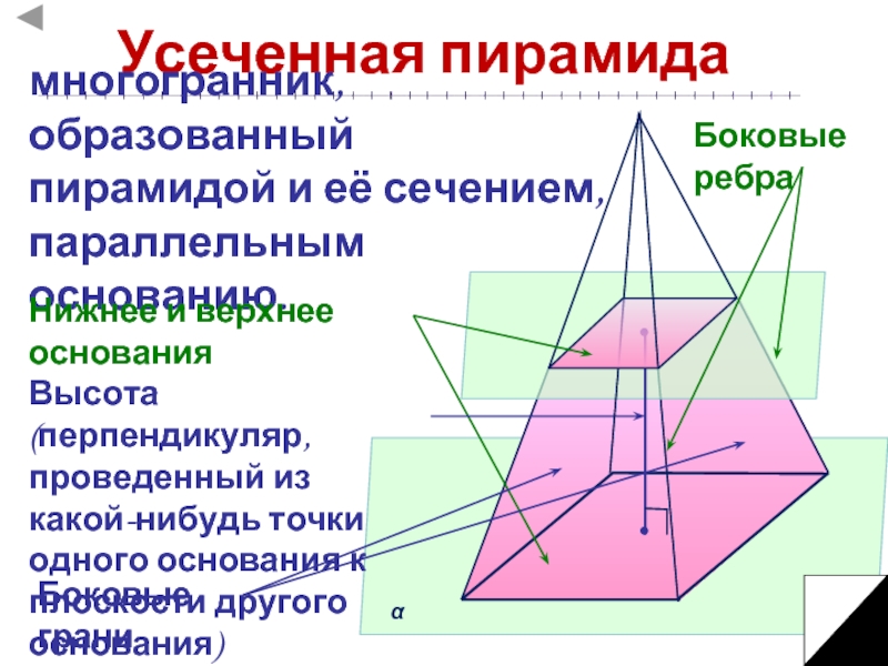 Сечение параллельное стороне пирамиды. Усеченная пирамида боковые ребра. Усечённая пирамида высота. Боковые грани усеченной пирамиды. Усеченная пирамида это многогранник.
