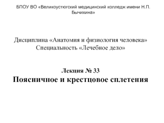 Поясничное и крестцовое сплетения
