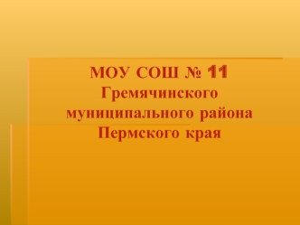 МОУ СОШ № 11 Гремячинского муниципального района Пермского края