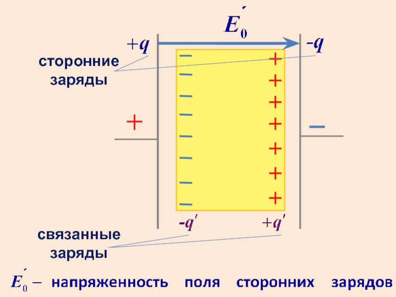 В металлах свободными зарядами являются