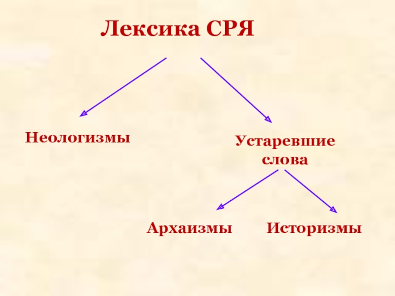 Историзмы архаизмы и неологизмы 5 класс презентация