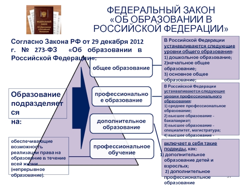 Ступени образования классы