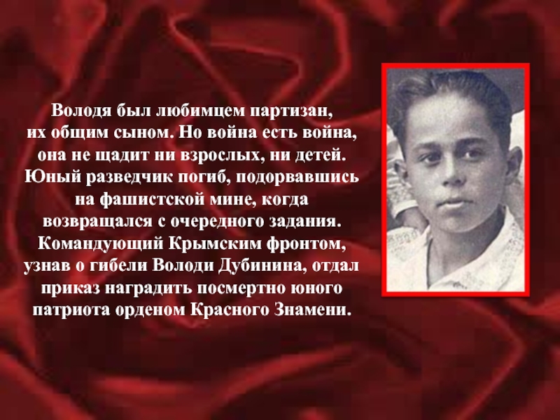 Володя увидел. Володя Дубинин Юный Партизан-разведчик Великой Отечественной войны. Володя Косиев Партизан. Володя огурцов Партизан. Презентация Юный разведчик.