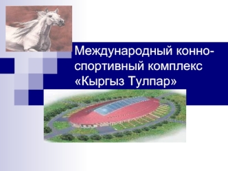 Международный конно-спортивный комплекс Кыргыз Тулпар