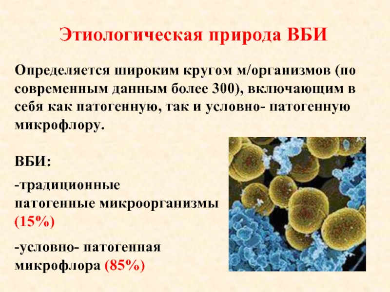 Бактерии вызывающие грипп. ВБИ. Возбудители ВБИ бактерии. Патогенные микроорганизмы. Понятие о внутрибольничной инфекции.