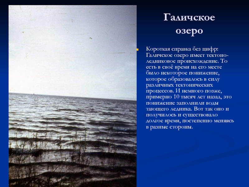 Суть озера. Галичское озеро Костромской области информация. Галичское озеро презентация. Глубина Галичского озера. Сообщение о Галичском озере.