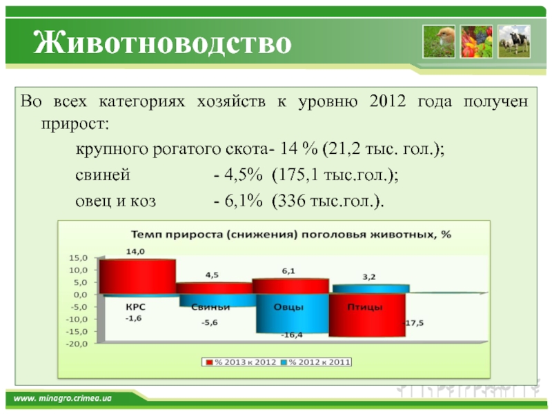 Категории крупного рогатого скота. Прирост КРС. Категории хозяйств.