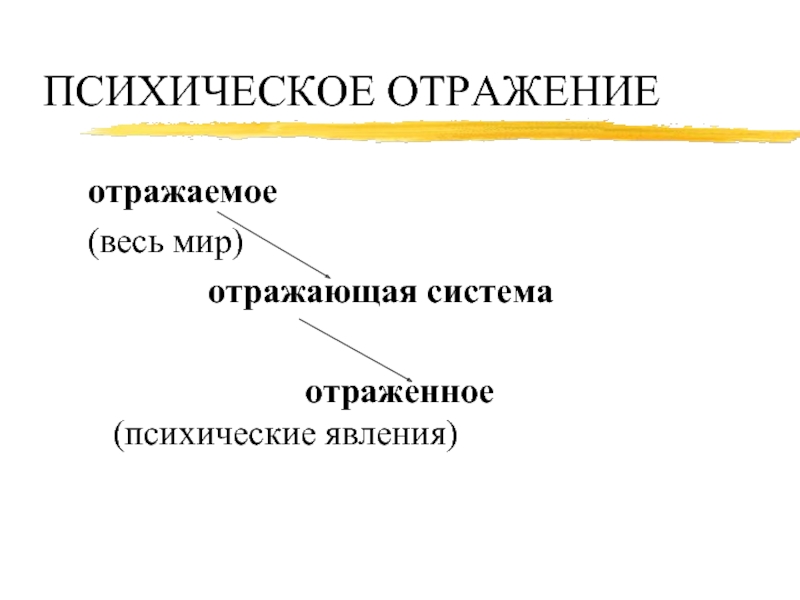 Отражаемое отражающая система отраженное. Элементы психического отражения. Уровни психического отражения. Психика и отражение схема. Явление психического отражения.