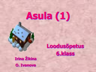 Asula (1)
