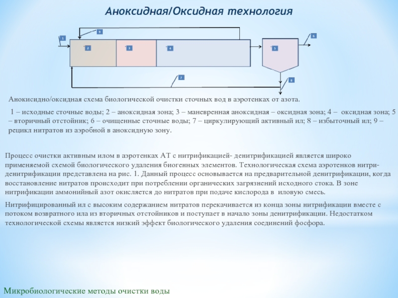 Удаление нитритов. Технологическая схема денитрификации. Аэротенк нитри-денитрификатор. Схема аэротенка нитрификатора денитрификатора. Аэротенк нитрификатор на схеме.