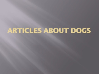 Articles about dogs