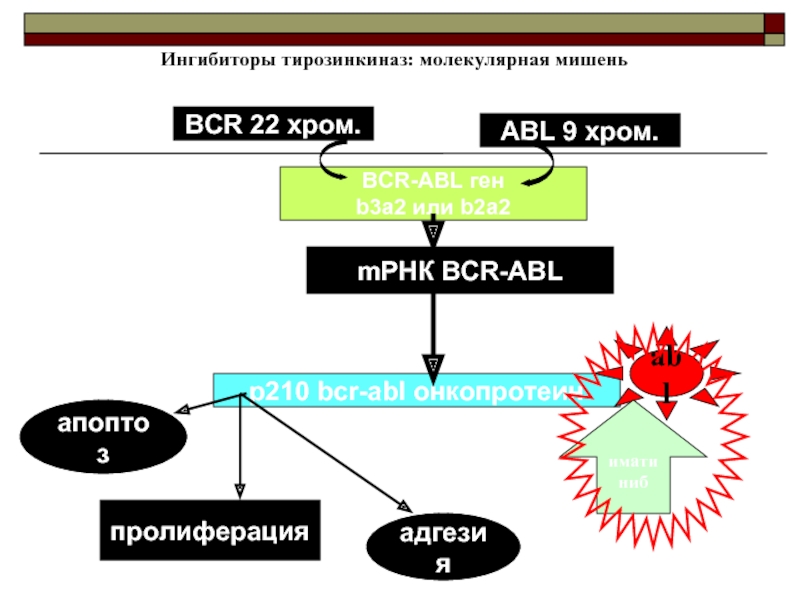 Ингибиторы тирозинкиназы. Ингибиторы тирозин кинащ. Ингибиторы тирозинкиназ BCR ABL. Ингибитор тирозиновых протеинкиназ. Ингибитор BCR-ABL-тирозинкиназы.