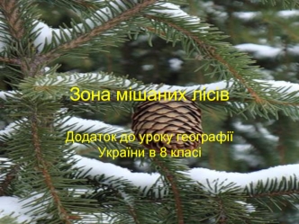 Зона мішаних лісів України