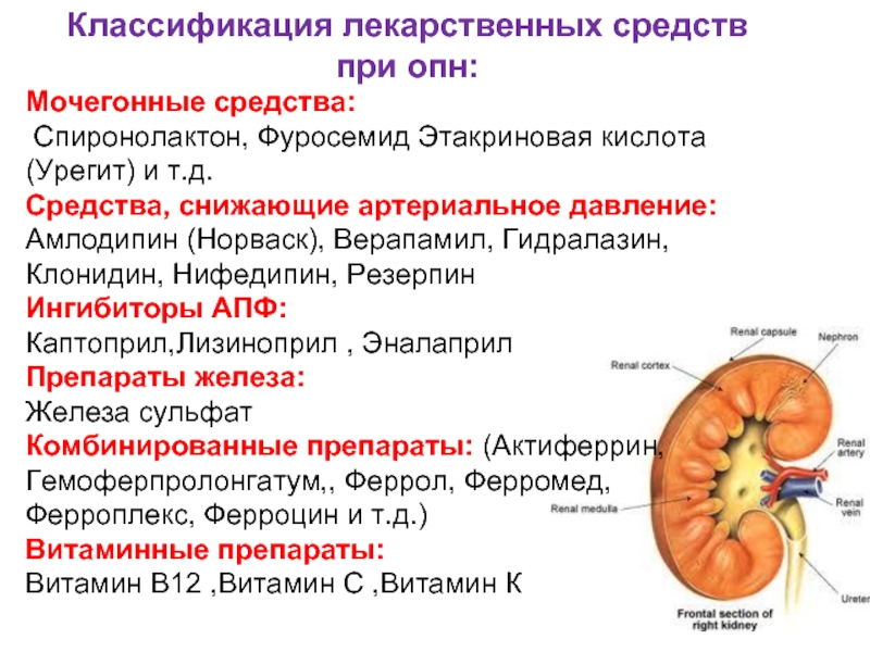 Ферромед