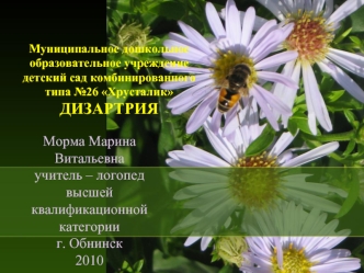 Морма Марина Витальевнаучитель – логопед высшей квалификационной категорииг. Обнинск2010