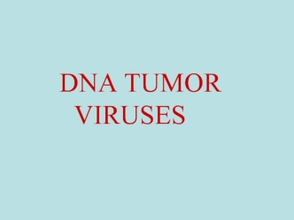 Dna tumor viruses