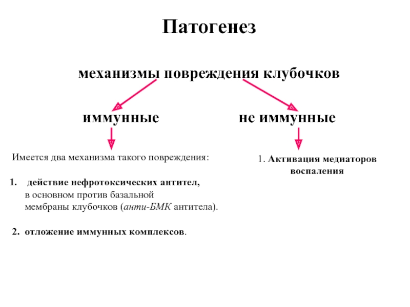 Антитела к базальной мембране. Общие патогенетические механизмы развития болезни. Механизм развития травмы. Механизмы патогенеза. Патогенез иммунного повреждения клубочка..