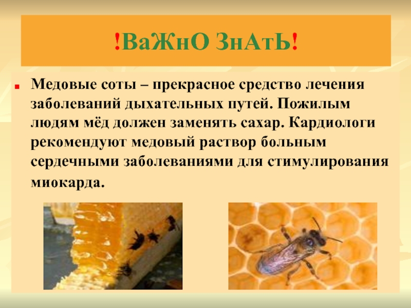 В каких случаях яд может быть лекарством. Презентация на тему апитерапия. Пчелиный яд презентация. Пчелиный яд апитерапия. Пчелиный яд кратко.