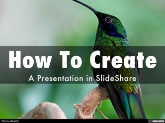 How to Create a Presentation on SlideShare