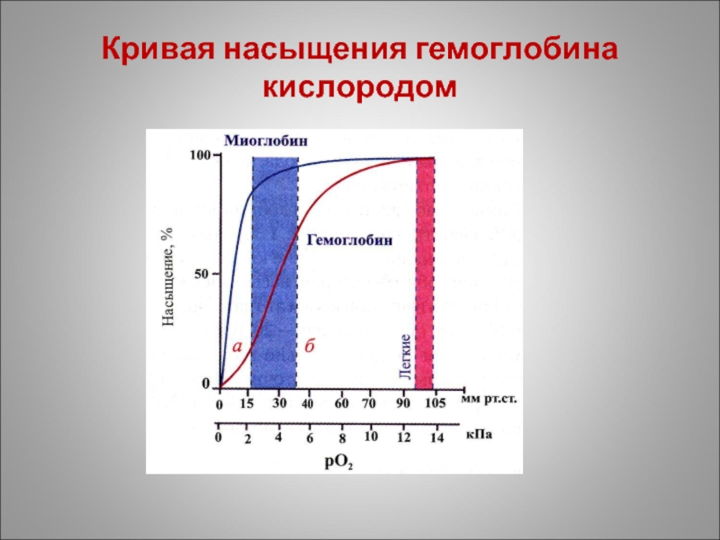 Насыщение кислородом. Кривая насыщения гемоглобина кислородом. Кривая сатурации гемоглобина. Кривая насыщения. Механизм насыщения гемоглобина кислородом.