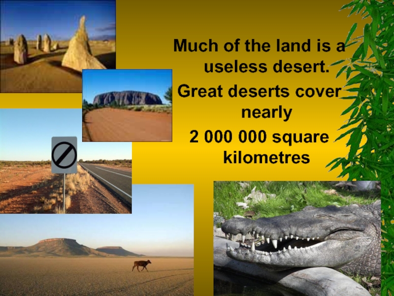 Much of the land is a useless desert.  Great deserts cover