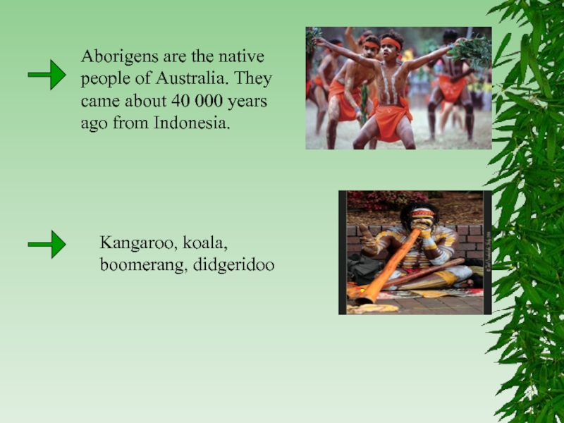 Aborigens are the native people of Australia. They came about 40 000