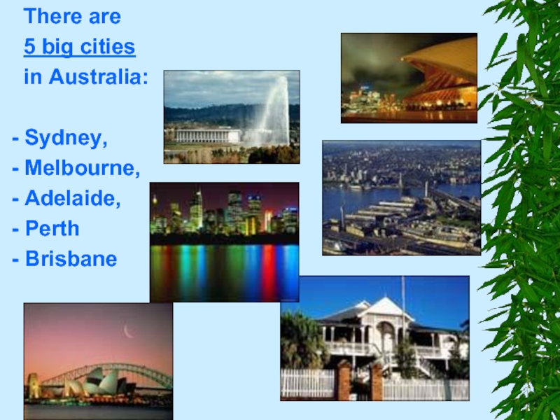 There are   5 big cities