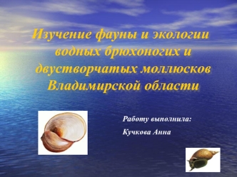 Изучение фауны и экологии водных брюхоногих и двустворчатых моллюсков Владимирской области