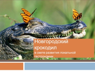 Новгородский крокодил в свете развития локальной гастрономии