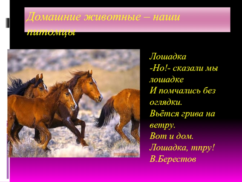 Как говорит лошадь. Берестов лошадка. Лошадка тпру. Но сказали мы лошадке и помчались без оглядки. Но лошадка.