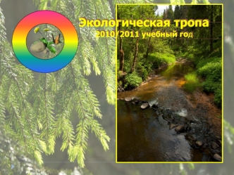 Экологическая тропа 2010/2011 учебный год