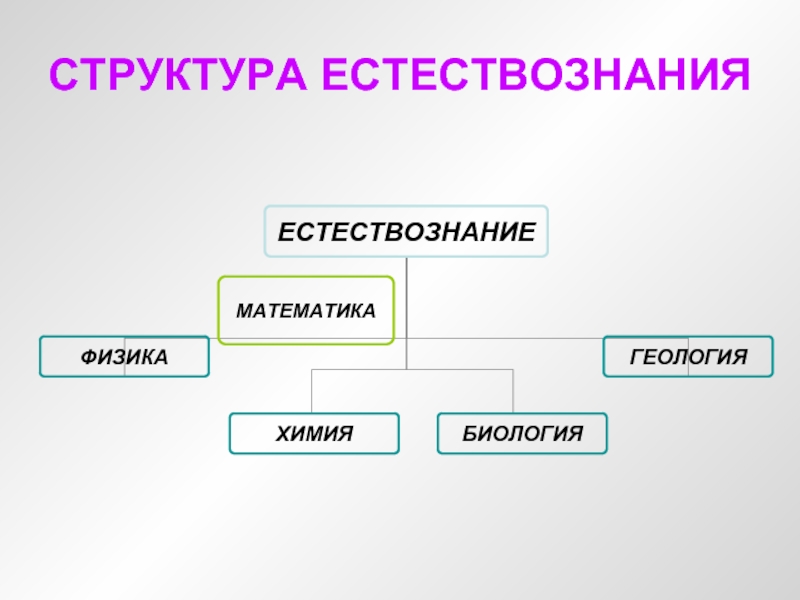 Оформите схему естествознание синтез наук ответ